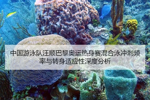 中国游泳队汪顺巴黎奥运热身赛混合泳冲刺频率与转身适应性深度分析