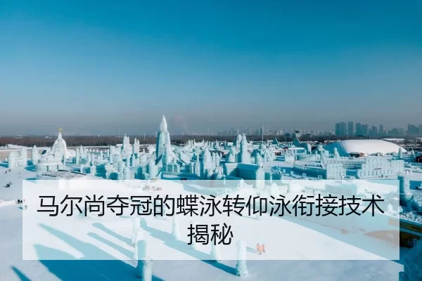 马尔尚夺冠的蝶泳转仰泳衔接技术揭秘